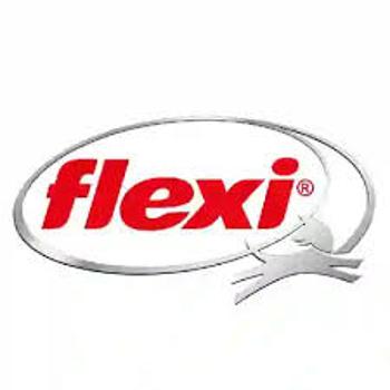 Flexi