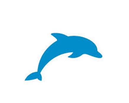 Dolphin