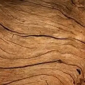woodhomeworks