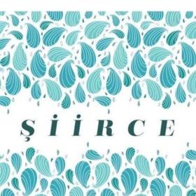 Doğan Kitap "Şiirce"