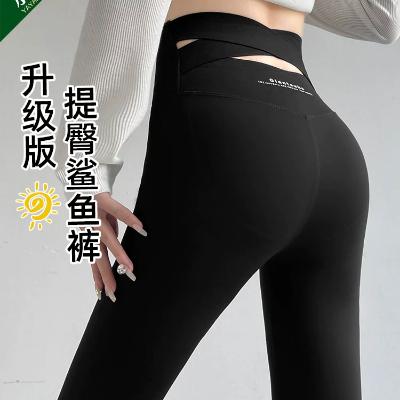 Zenan sport losina