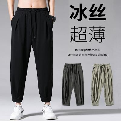 Xun Thai erkek balak