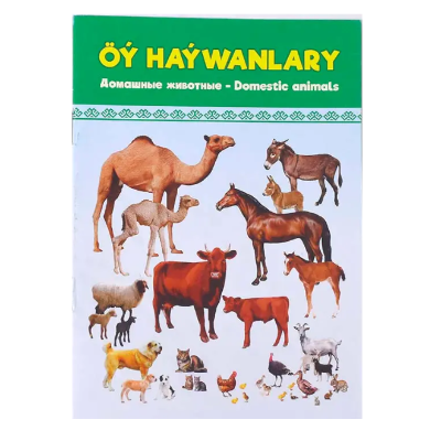 Raskraska öy haýwanlary TDK693