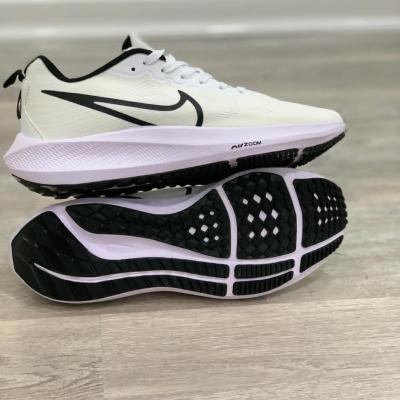 Nike Zoom Pegasus