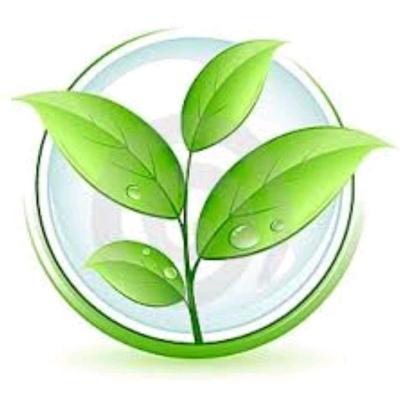 Репетитор по БИОЛОГИИ