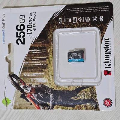 MicroSd Kingstone CANVAS GO! PLUS