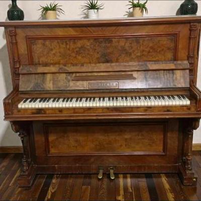 Фортепиано/пианино/gadym