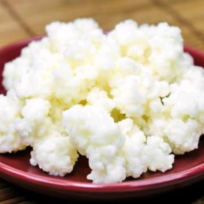 Куплю кефирный/молочный гриб