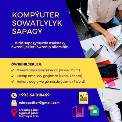 Word, Excel, Access, PowerPoint repetitor