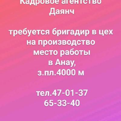 требуется бригадир в цех 
на производство 
место работы
в Анау,
з.пл.4000 м