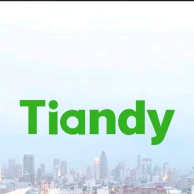 Tiandy Daşky Kamera 2mp