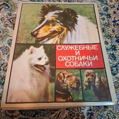 Сувенирные спички