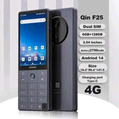Xiaomi qin f25 6/128
