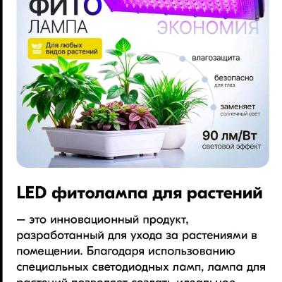 Фитолампа