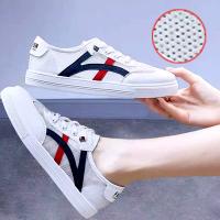 S22-23 Net Lanhong