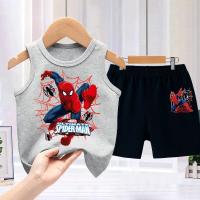 Vete spider grey+шорты