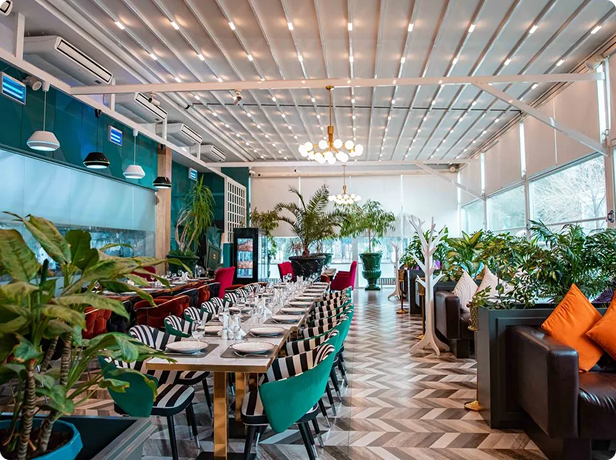 Наш ЗИМНИЙ САД